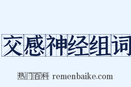 交感神经组词是什么意思的图片